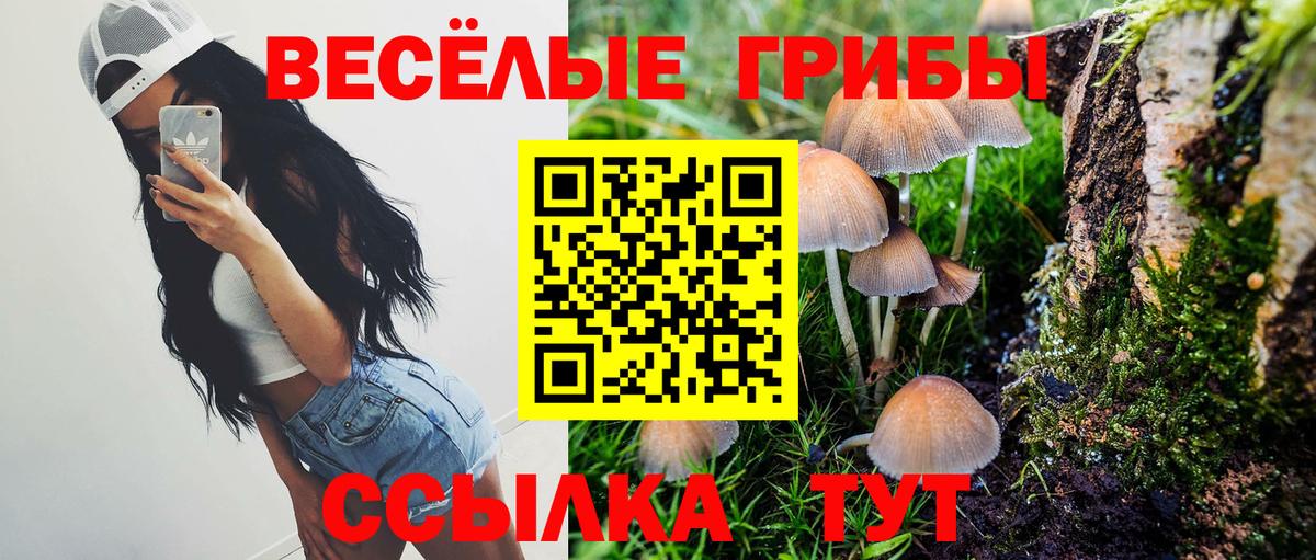 Псилоцибиновые грибы Cubensis Нефтекамск