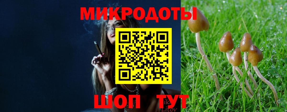 Нефтекамск  Псилоцибиновые грибы ЛСД  Вход с VPN  Псилоцибиновые грибы Psilocybe 